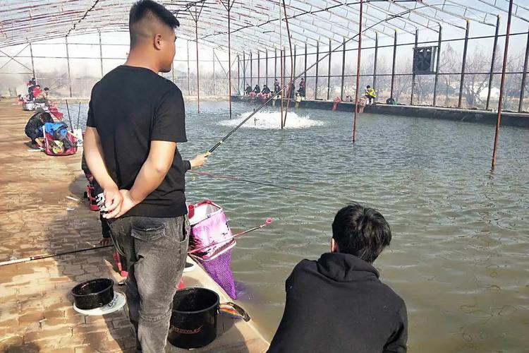 冬季大棚釣魚技巧_北方室內釣魚方法_冬季大棚釣魚技巧