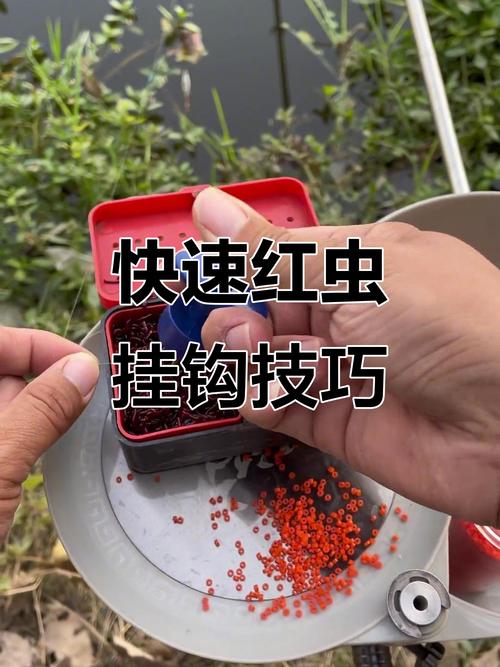 冬釣紅蟲技巧_紅蟲釣鯽魚方法_在秋季用紅蟲釣魚需要注意這幾點