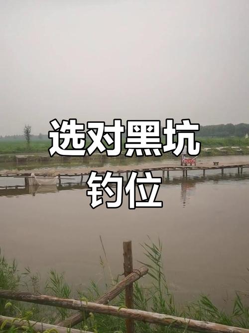 黑坑釣魚最佳位置選擇_黑坑魚塘的盈利方法_新手黑坑釣魚技巧