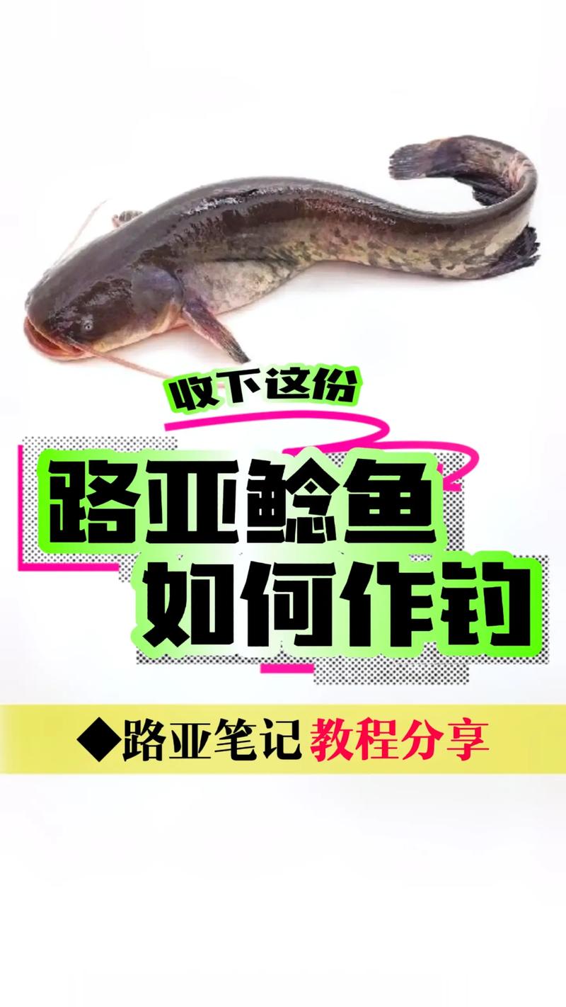 夜釣鯰魚絕招_釣鯰魚用什么餌料 夜間釣鯰魚技巧 鯰魚怕光喜黑