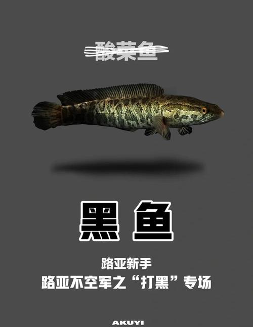 黑魚餌料選擇_黑魚生活習性_黑魚吃什么食物