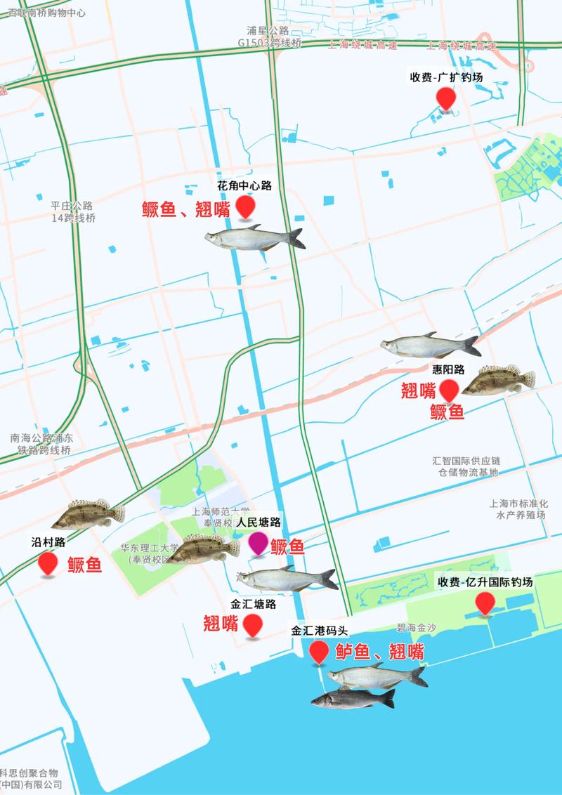 上海釣魚網論壇_上海釣魚論壇進不去了_上海釣魚論壇首頁app