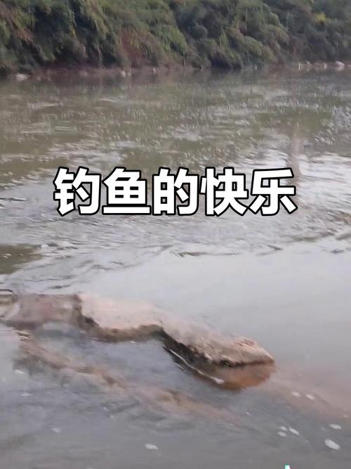 釣大魚視頻高清_戶外釣魚視頻拍攝方法_釣魚視頻拍攝技巧