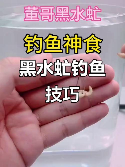黑魚對口釣方法_釣黑魚用什么餌料_釣黑魚技巧