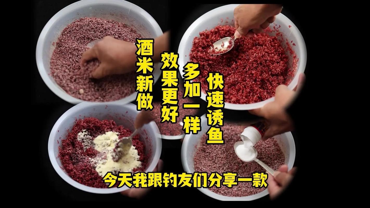 酒米制作 大米小米選擇 釣魚打窩技巧_怎么用酒曲發酵小米做窩料?