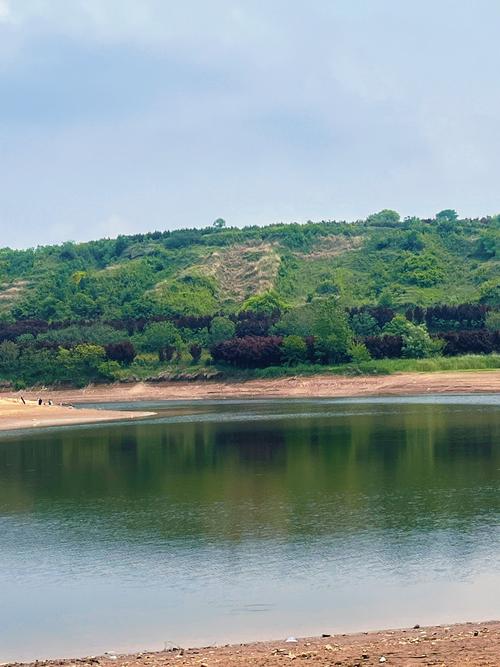 沈陽野釣魚哪兒最好_沈陽野釣魚的好地方_沈陽野釣