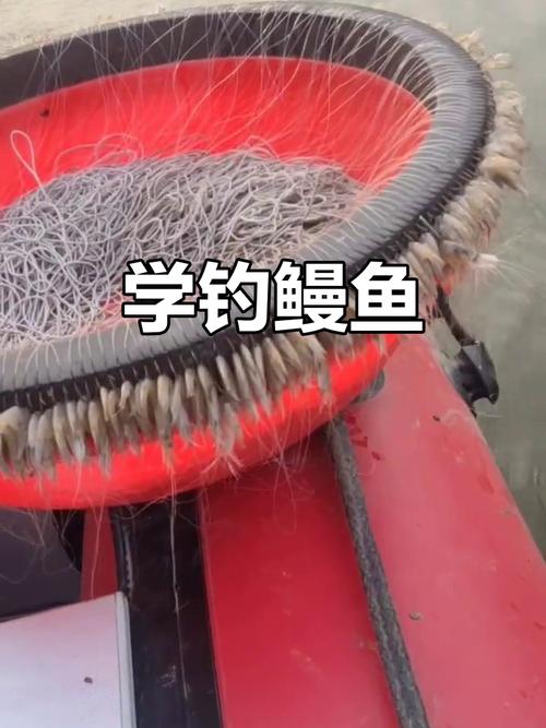 黃鱔習性_釣黃鱔技巧_釣黃鱔技巧