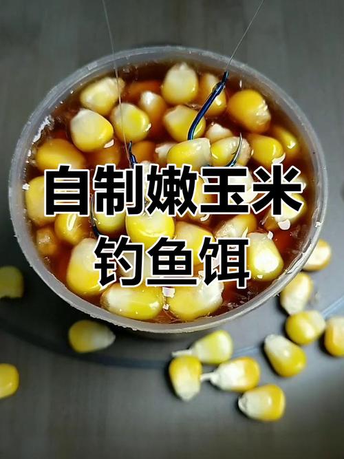玉米釣大魚配方_生玉米發酵玉米釣法_嫩玉米自制窩料配方野釣?