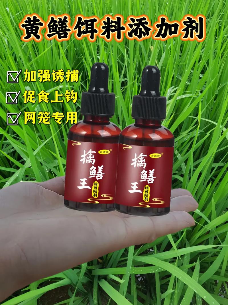 釣鱔魚方法_黃鱔誘捕技巧_釣黃鱔技巧