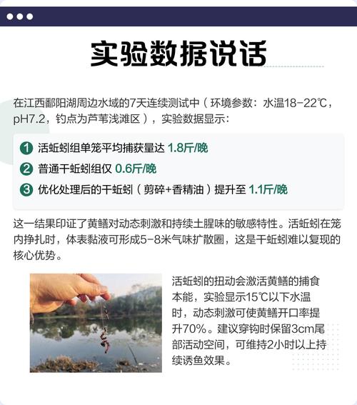 釣黃鱔技巧_黃鱔誘捕技巧_釣鱔魚方法