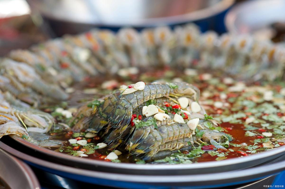 黑龍灘湖島嶼釣魚露營_黑龍灘水庫哪里好釣魚_黑龍灘旅游攻略