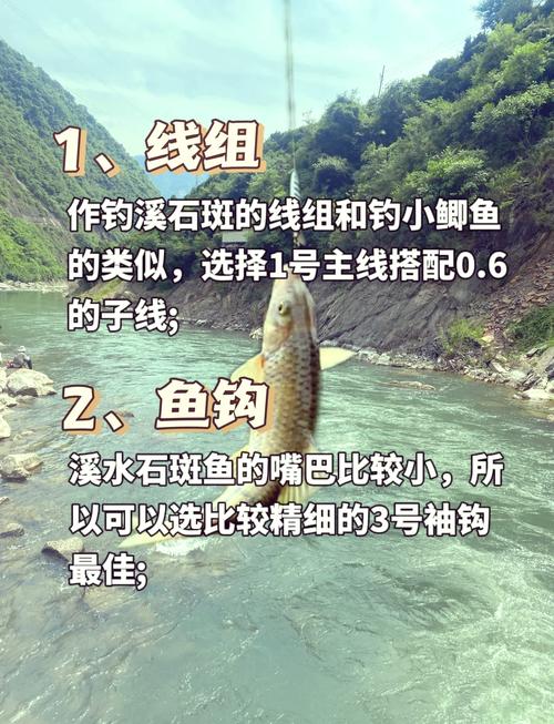 怎樣釣溪石斑魚求解中_溪石斑魚餌料選擇_溪石斑魚垂釣技巧