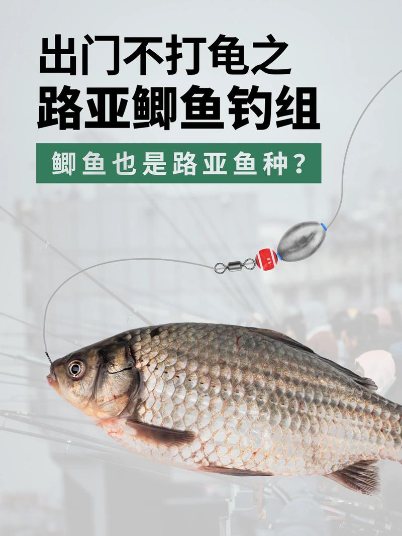 冬季釣鯽魚蚯蚓技巧_釣鯽魚的餌料_釣鯽魚蚯蚓與商品餌對比