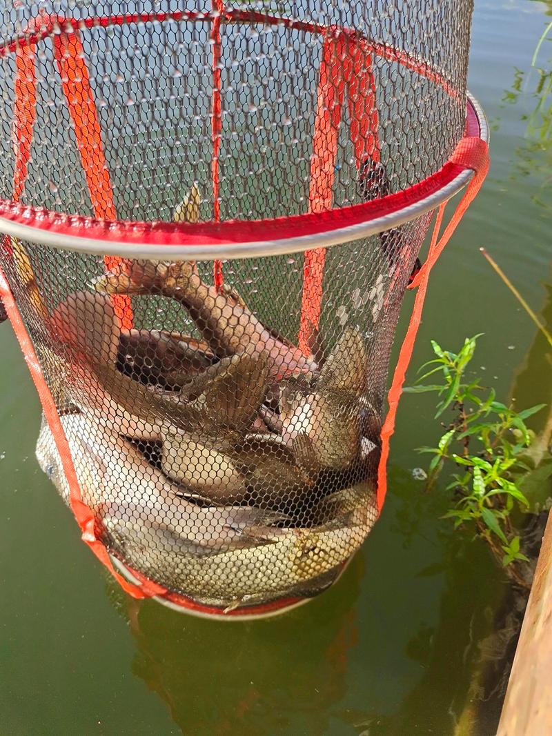 南陽釣魚野釣休閑_今天下午南陽釣友_南陽市釣魚天氣預報