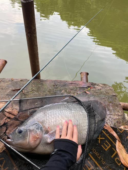 今天下午南陽釣友_南陽釣魚野釣休閑_南陽市釣魚天氣預報