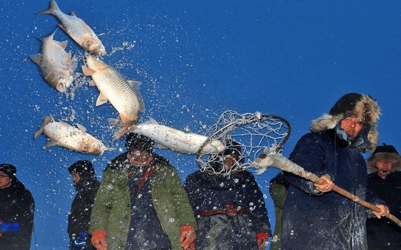 查干湖冬捕真相_查干湖洗澡魚質疑_年年都能大豐收查干湖魚從哪來?漁民說出實情?