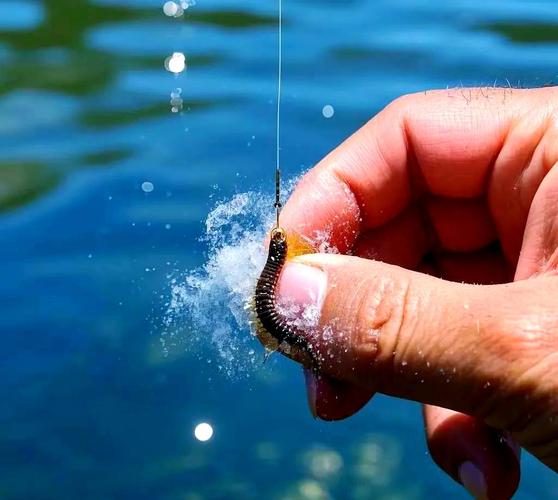 蚯蚓沾什么釣魚效果好_釣鯽魚蚯蚓使用方法_蚯蚓商品餌結合技巧