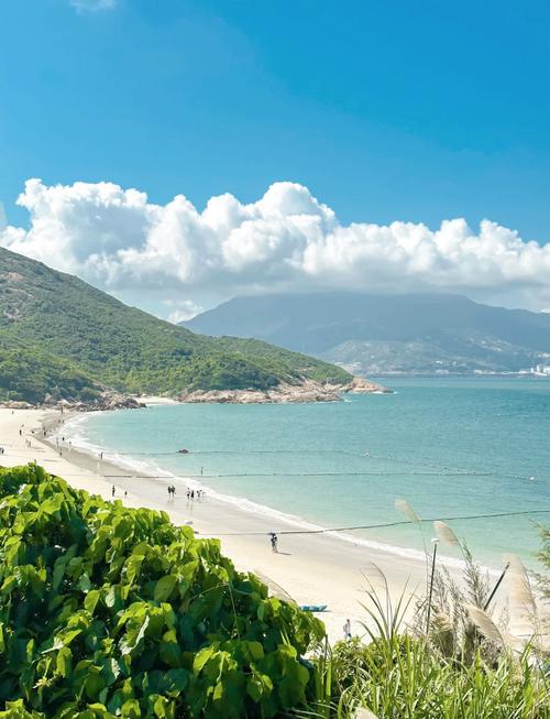 釣魚深圳地方在哪里_深圳釣魚的地方_深圳在哪釣魚