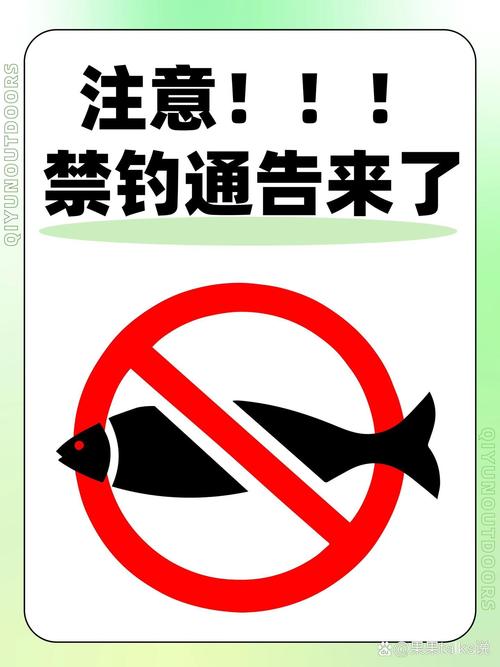 義烏執法局漁政行動_義烏江禁漁區規定_義烏釣魚