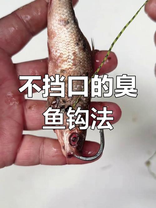 釣鯰魚技巧_鯰魚怎么調餌?_鯰魚生活作息規律