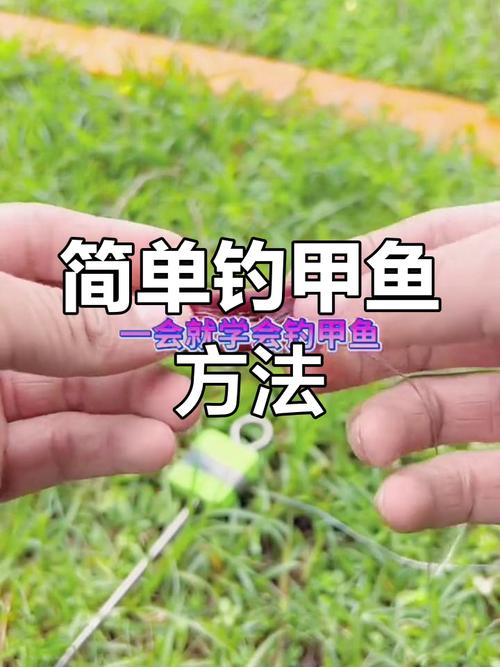 野河釣魚技巧_釣甲魚方法_甲魚釣組制作