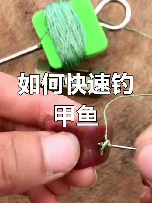 釣甲魚方法_甲魚釣組制作_野河釣魚技巧