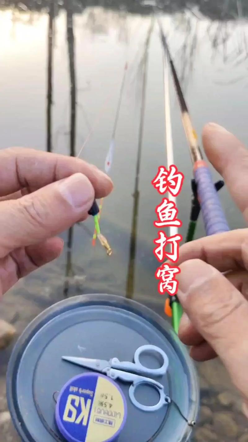 野釣鯽魚打窩技巧_野釣鯉魚打窩技巧_野釣鯽魚怎么打窩