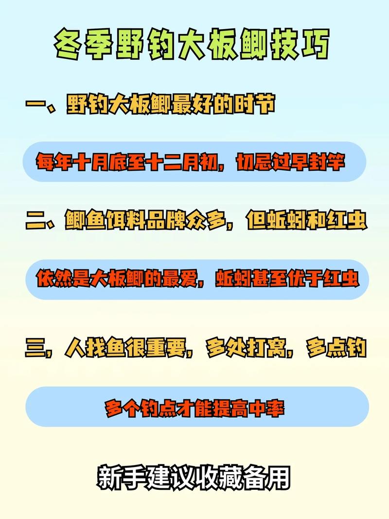 釣大板鯽技巧_冬季釣大板鯽攻略_野釣鯽魚視頻大全高清