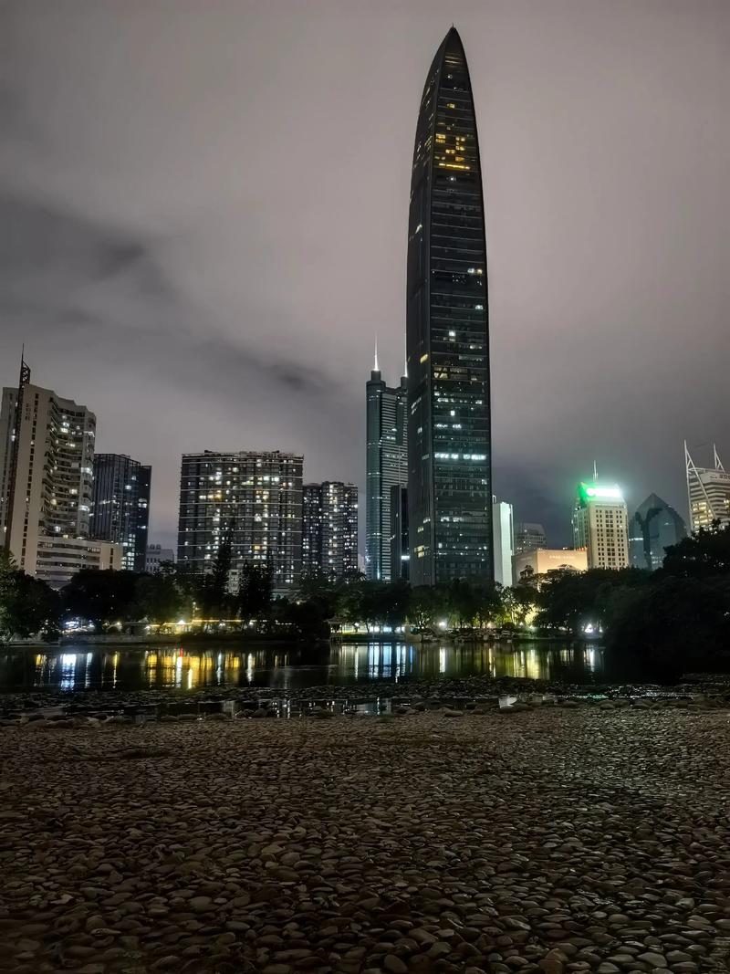 荔枝公園景點介紹_深圳荔枝公園地址_深圳荔枝公園夜景