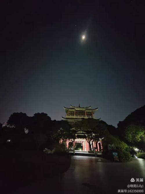 深圳荔枝公園地址_荔枝公園景點介紹_深圳荔枝公園夜景