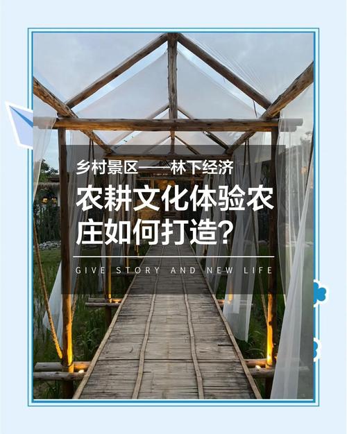 深圳農家樂_傳承啟元農家樂基地_大城里的田園生活