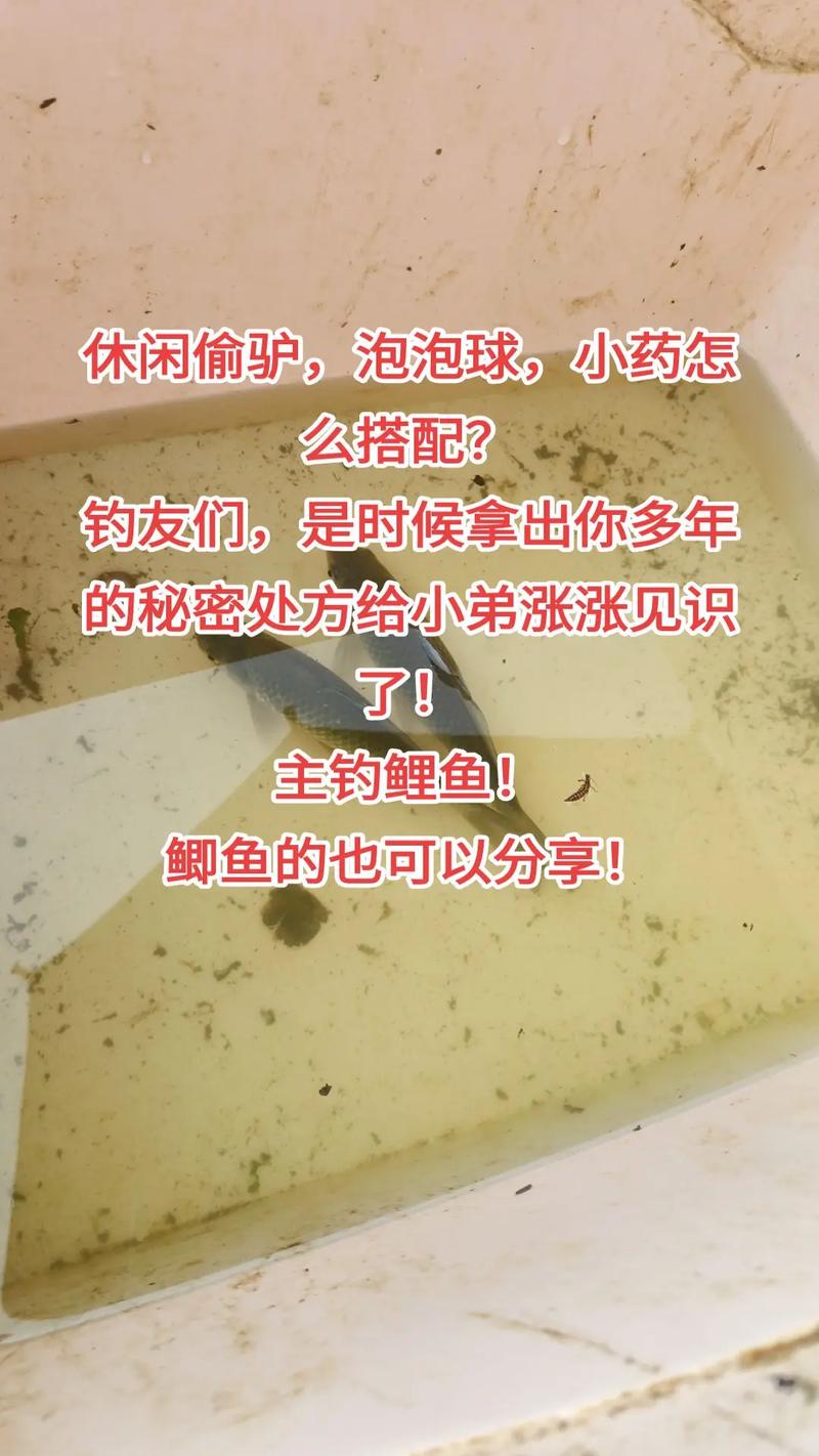 果酸糧食味奶味使用技巧_新手黑坑釣魚小藥選擇_黑坑釣魚小藥