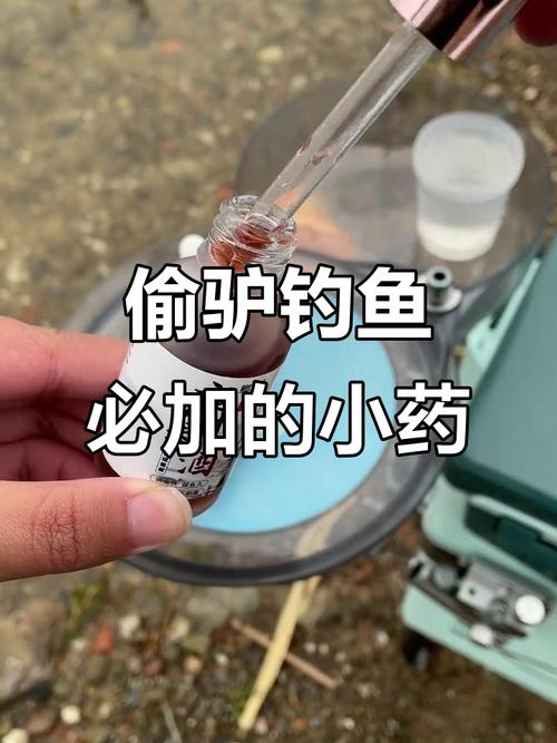 新手黑坑釣魚小藥選擇_果酸糧食味奶味使用技巧_黑坑釣魚小藥