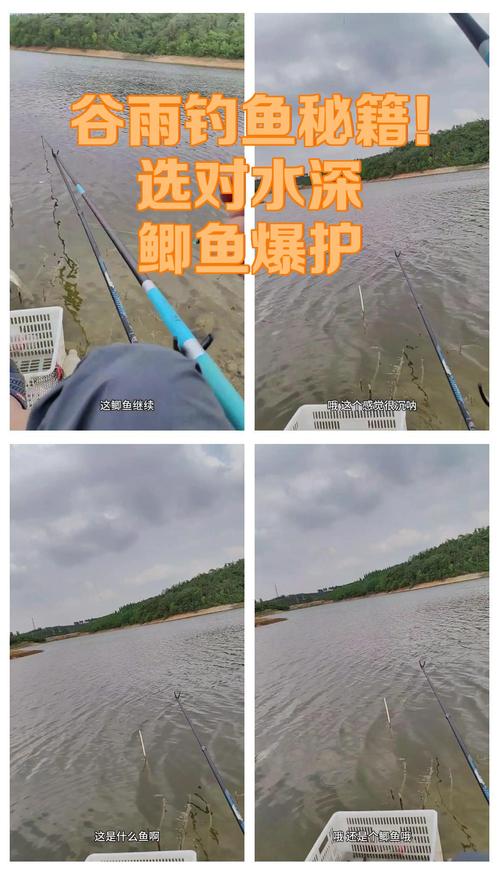 晴天釣淺陰天釣深_谷雨釣魚技巧_谷雨釣魚技巧