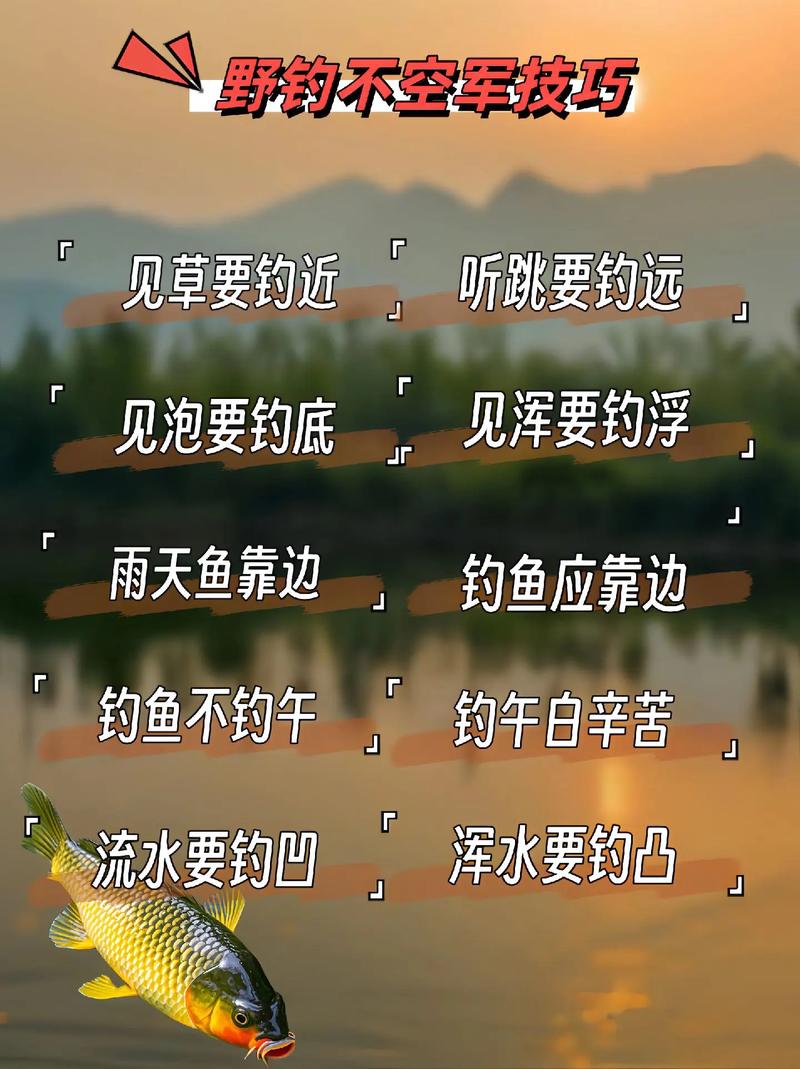 野坑釣魚技巧_天氣研判系統釣位選擇_野釣避免空軍技巧