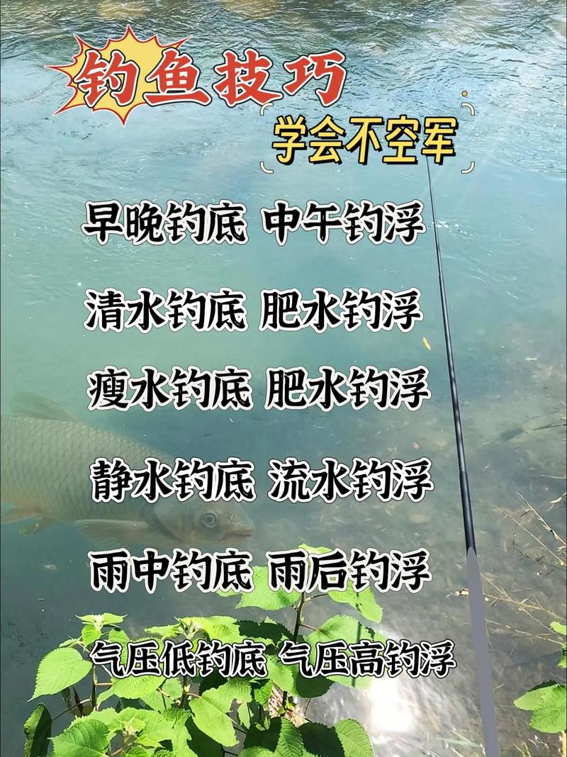 野坑釣魚技巧_天氣研判系統釣位選擇_野釣避免空軍技巧
