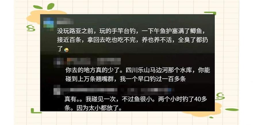 用泥鰍釣魚掛法圖片_泥鰍掛鉤釣魚新規_泥鰍打窩禁令