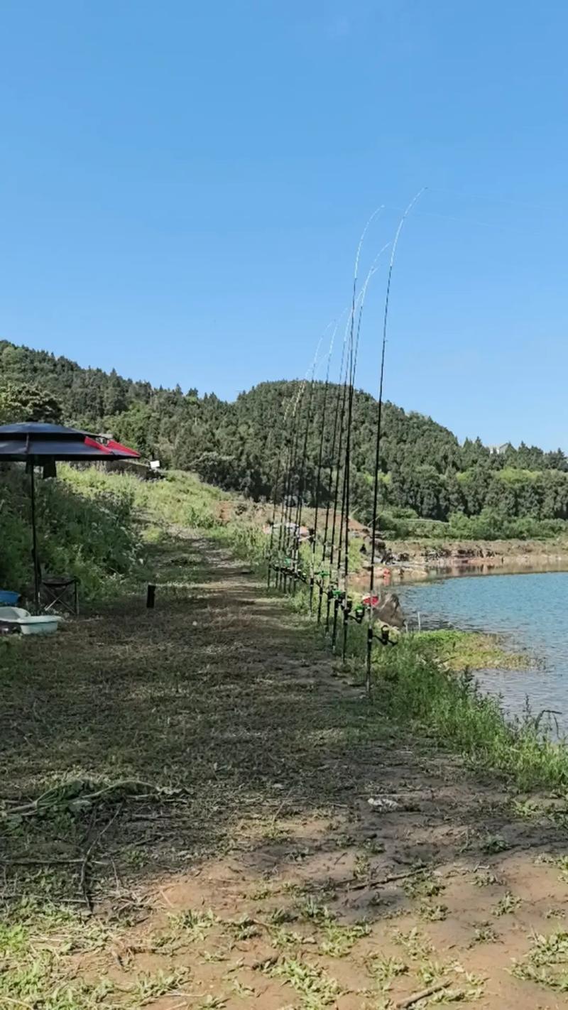 釣魚視頻水庫野釣實戰高清_2021升鐘湖庫釣大賽_升鐘水庫釣魚視頻
