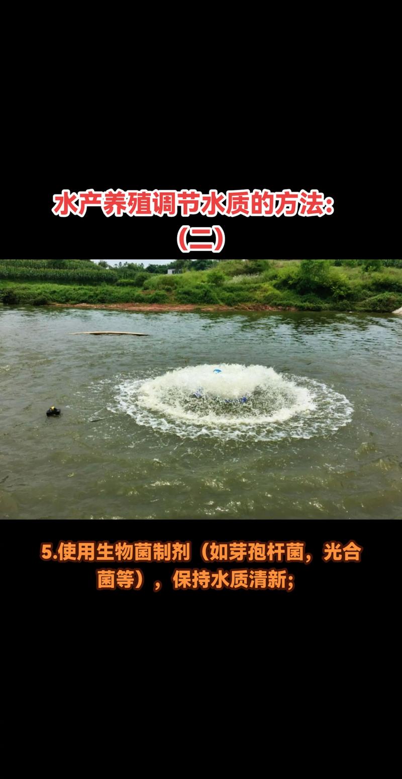 池塘河蝦養殖技術_河蝦水質管理方法_河蝦養殖技術及注意事項