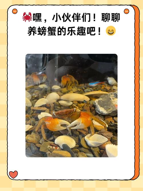 河蟹是什么蟹種_河蟹投餌內容_河蟹投餌時間