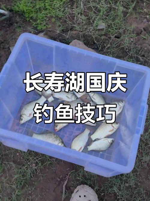 長江流域十年禁漁_長壽區禁捕水域禁釣期_長壽湖_長壽湖釣魚規則