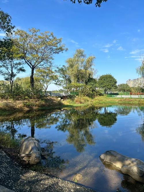 金銀湖協和醫院_金銀湖金銀湖_金銀湖國家濕地公園