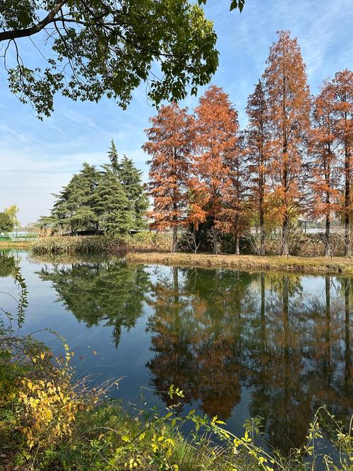 金銀湖金銀湖_金銀湖協和醫院_金銀湖國家濕地公園