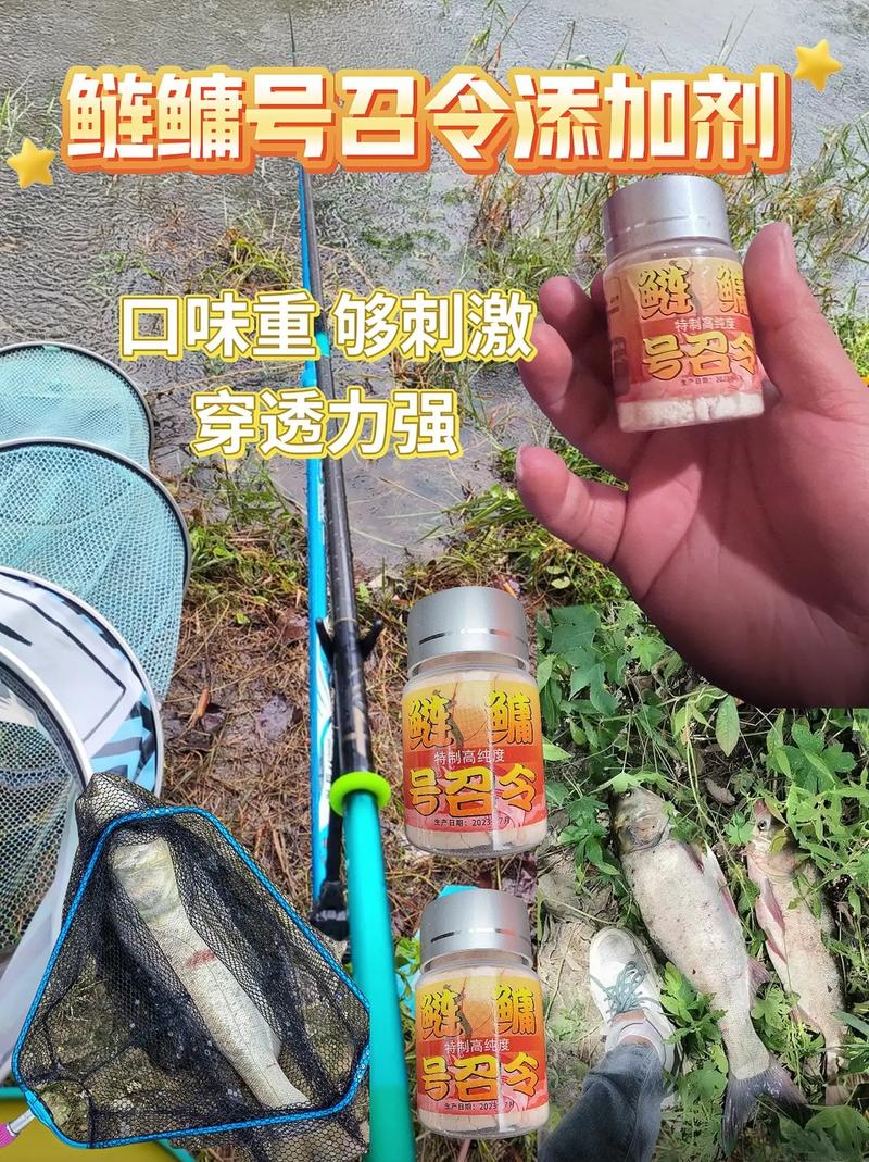 釣黑坑鯉魚餌藥搭配_黑坑鯉魚小藥使用技巧_釣鯉魚小藥