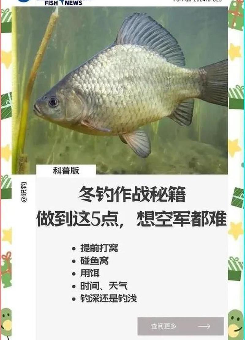 釣鯉魚技巧_釣鯉魚視頻_鯉魚窩點選擇