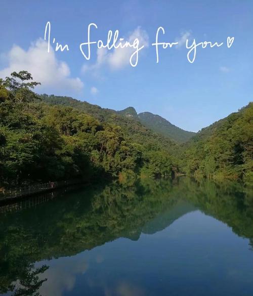 花都王子山森林公園_廣州王子山森林公園_王子山森林公園負離子含量