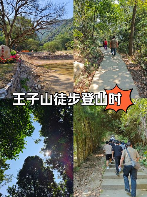 廣州王子山森林公園_花都王子山森林公園_王子山森林公園負離子含量