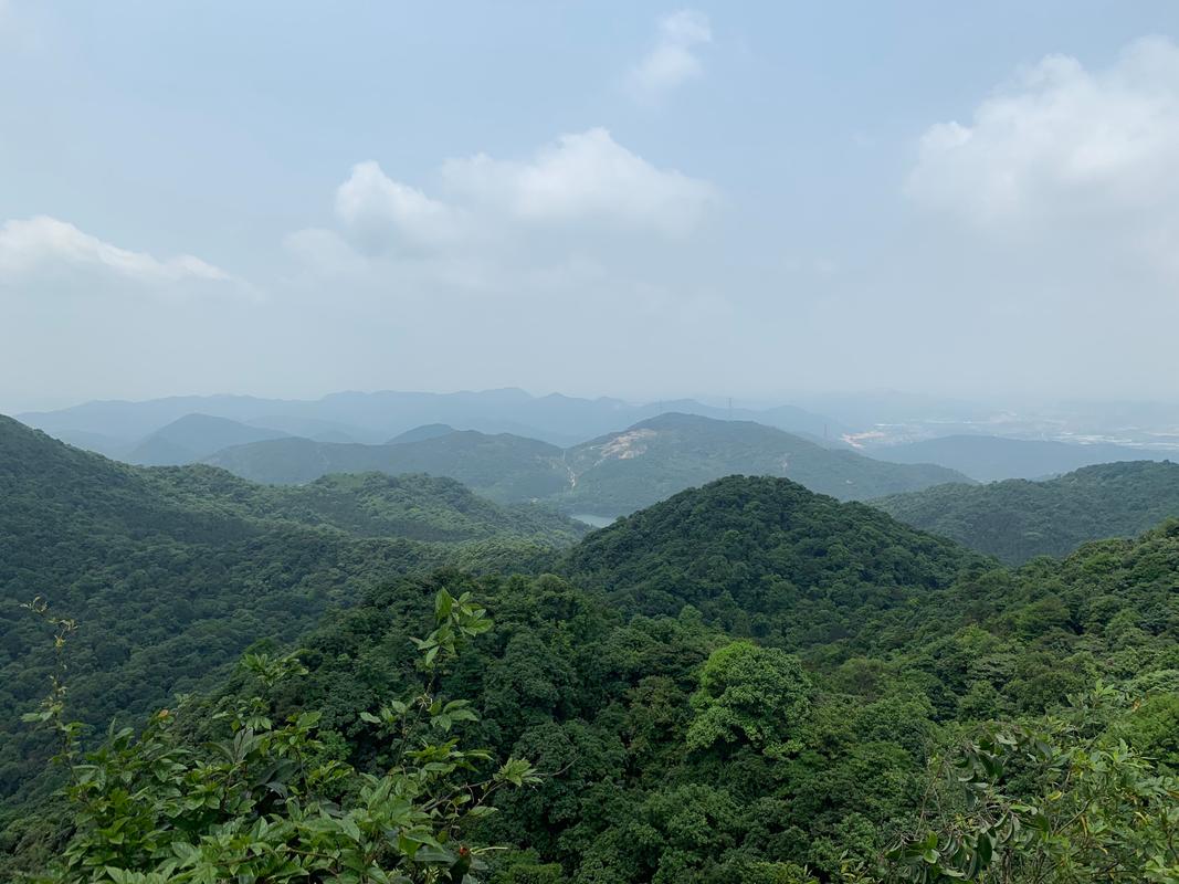 廣州王子山森林公園_花都王子山森林公園_王子山森林公園負離子含量