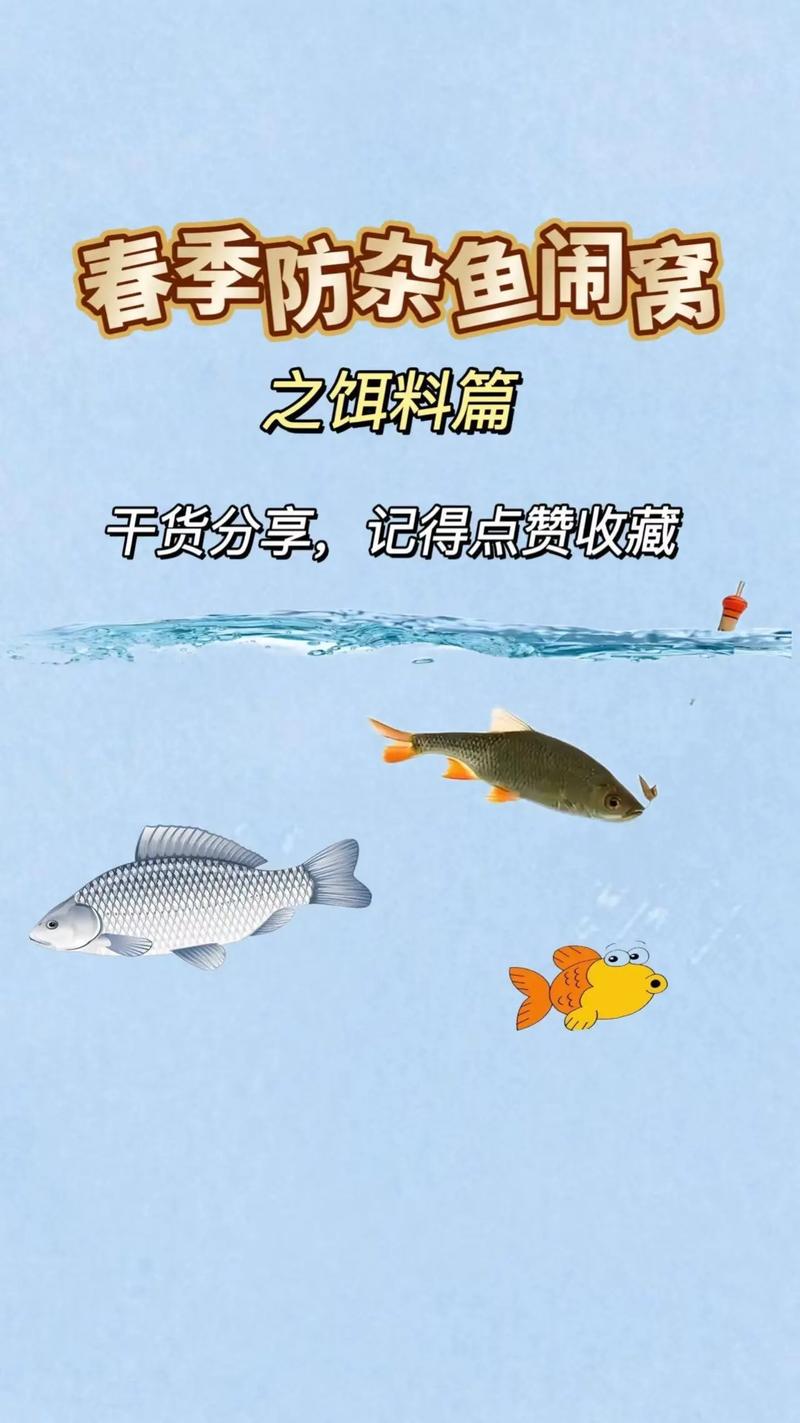 春季釣魚重口味餌料_臭味餌料釣鯉魚_釣鯉魚用什么餌