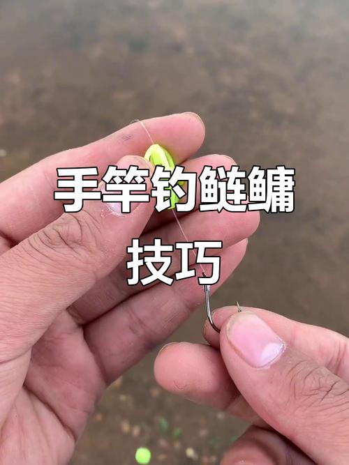 釣花鰱魚方法_釣白鰱魚技巧_進入秋季如何用手竿浮釣鰱鳙魚必看
